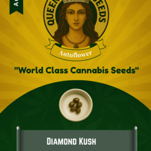Diamond Kush Autoflower Marijuana Seeds
