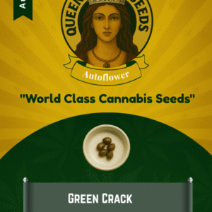 Green Crack Autoflower Marijuana Seeds