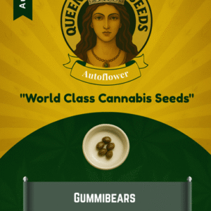 Gummibears Autoflowering Feminized Marijuana Seeds