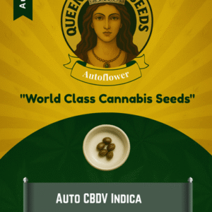Autoflower CBDV Indica Strain Marijuana Seeds