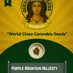 Purple Mountain Majesty Feminized Seeds