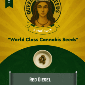 Red Diesel Feminized Seeds