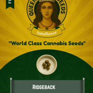 Ridgeback Feminized Seeds