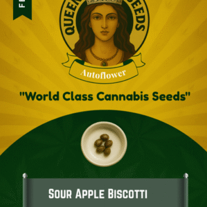 Sour Apple Biscotti Feminized Seeds