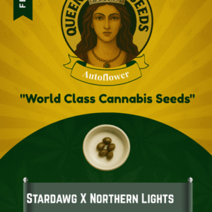 Stardawg X Northern Lights Feminized Seeds